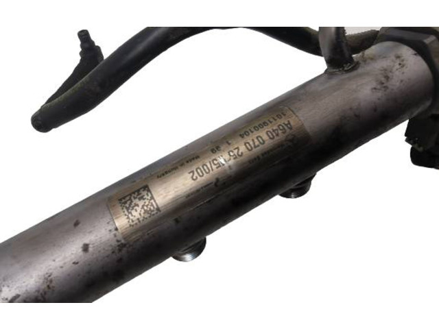 Топливная рампа A6400702595   Mercedes-Benz A W169  