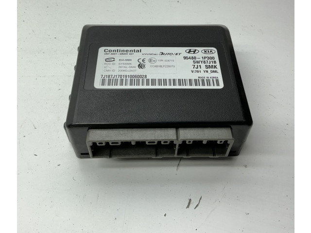 Блок управления 954801P300, 5WY87J1B   KIA Venga