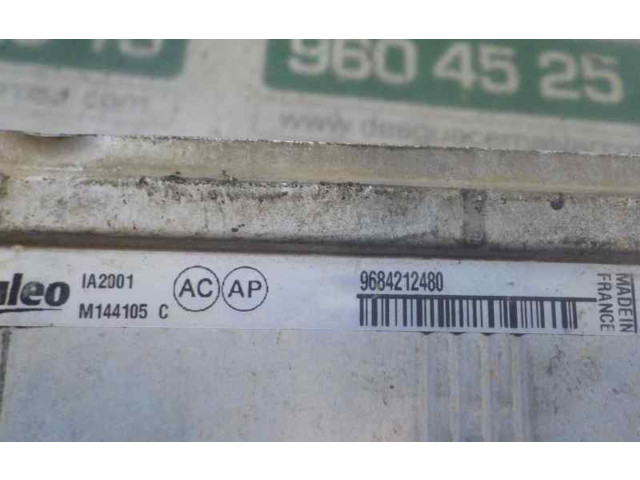 Интеркулер     Peugeot Partner 