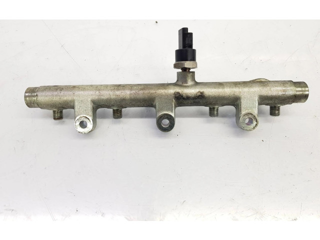 Vstřikovací lišta 157095, 0445214019 Peugeot 206 2.0