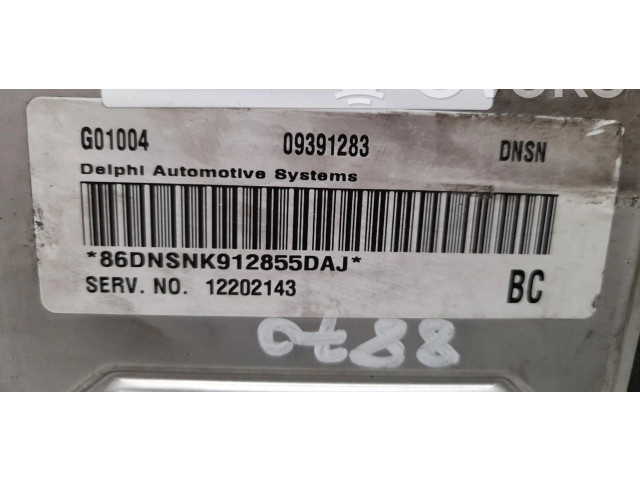 Řídící jednotka 12202143, 12202143 Opel Zafira A