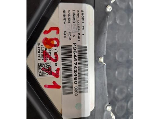 Přístrojová deska Peugeot 307 2001 P9646742480