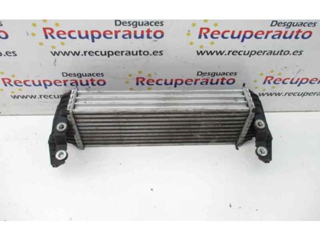 Интеркулер Ford Transit - Tourneo Connect