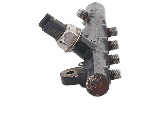 Vstřikovací lišta 175210651R Renault Megane IV K9K_657