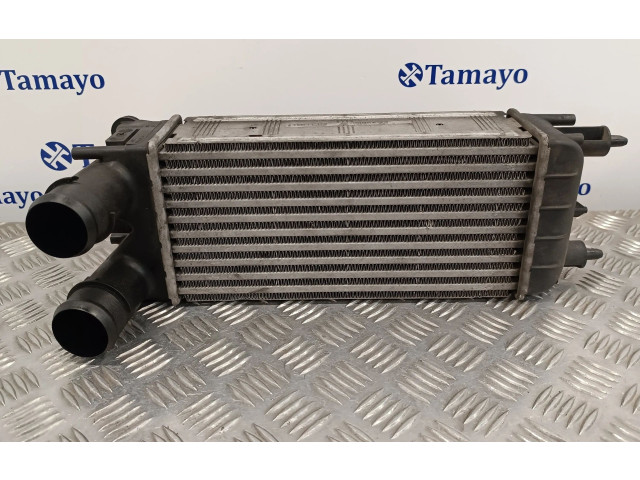 Интеркулер 9684946380, M144207D Citroen C5