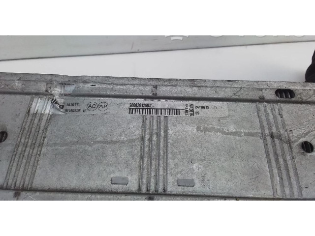 Интеркулер  9800291280   Citroen DS4 