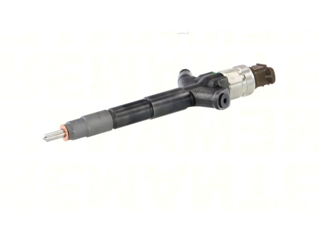 Vstřikovač 295050030, 295050030 Nissan Murano Z51