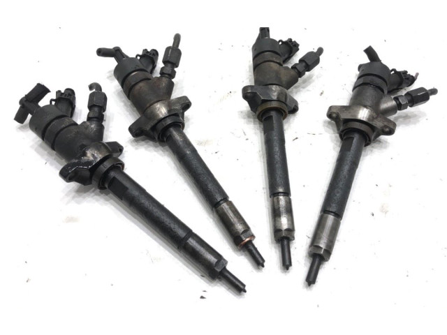 Комплект жиклеров (форсунок) 0445110239 Citroen C4 I