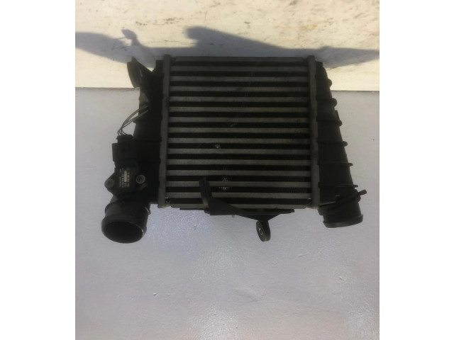 Интеркулер  BNM   Volkswagen Polo 