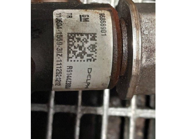 Vstřikovací lišta 96868901, R9144Z300A Chevrolet Captiva Z22D1