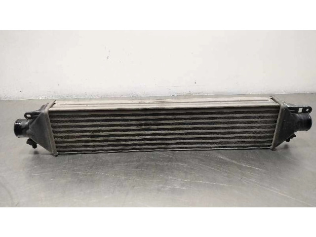 Интеркулер     Fiat Bravo 1.9