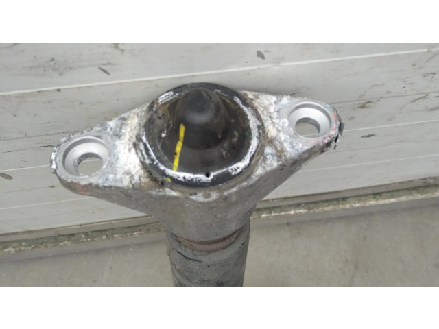 Задний aмортизатор      