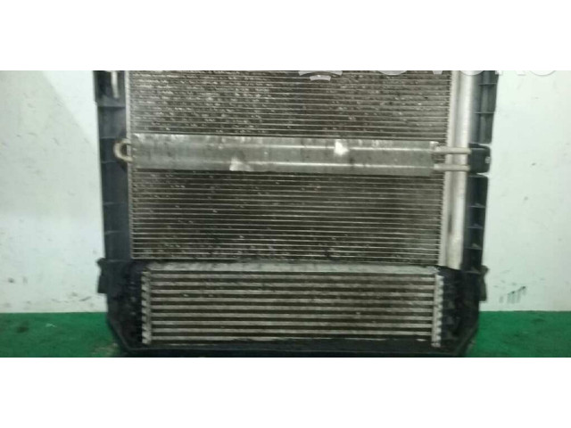 Интеркулер 1751753347504 BMW X5 E70