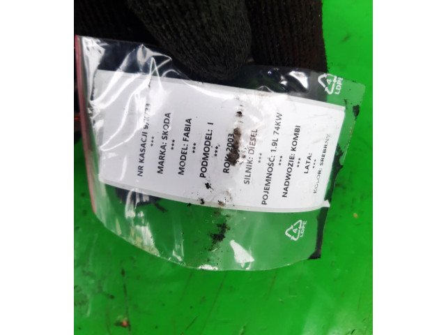 Turbodmychadlo Нагнетатель 54431015083 Skoda Fabia Mk1 (6Y)