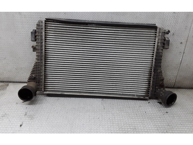 Интеркулер     Skoda Octavia Mk2 (1Z) 