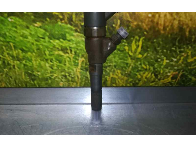 Vstřikovač 0445110044, BOSCH   Peugeot 307     