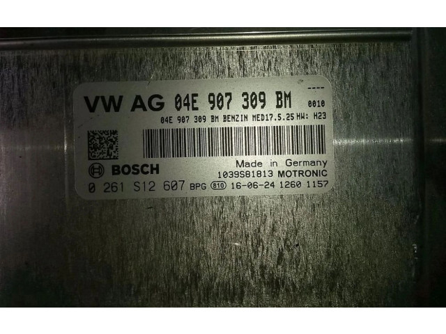 Блок управления двигателя 04E907309BM, 04E907309BM Volkswagen Caddy