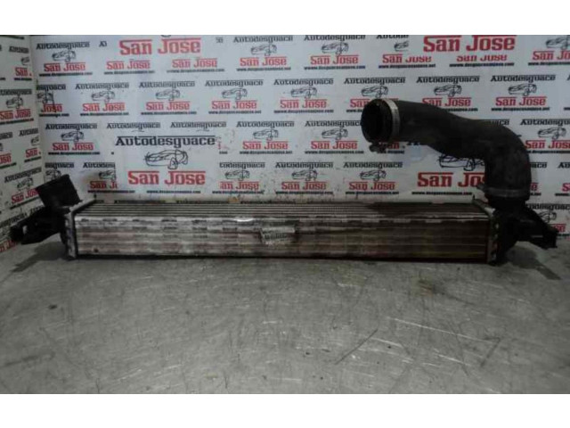 Интеркулер Skoda Rapid (NH)