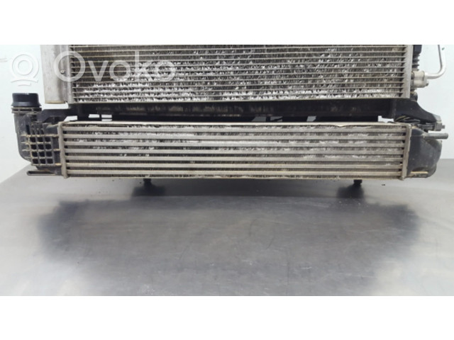 Интеркулер 8200880552 Dacia Duster 1.5