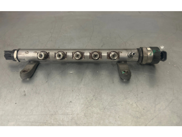 Топливная рампа 9656917280, DW12BTED4   Citroen C-Crosser  