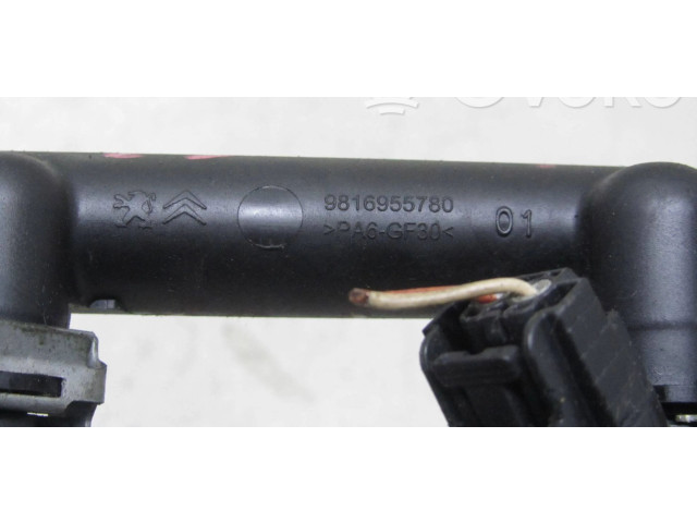 Vstřikovací lišta 9816955780 Citroen C3 HM01