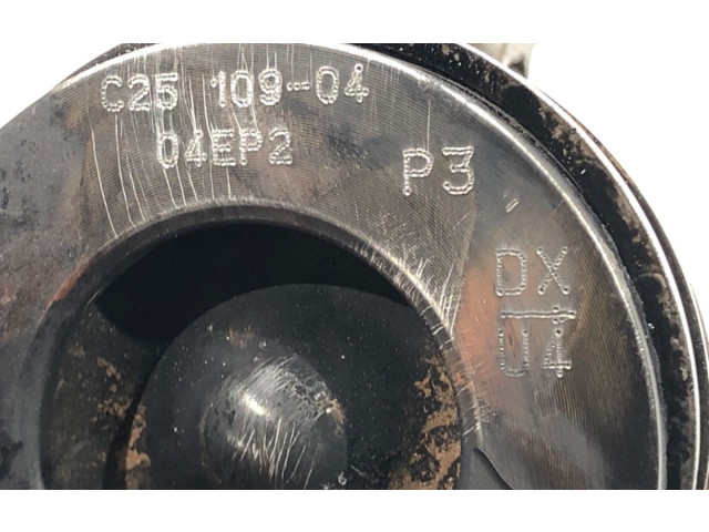 Поршень с шатуном RHR Citroen C5