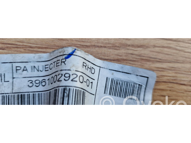 Топливная рампа 3961002920-01   Hyundai i10  