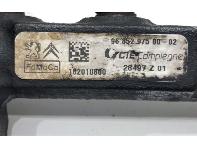 Топливная рампа 9685297580   Citroen C3  