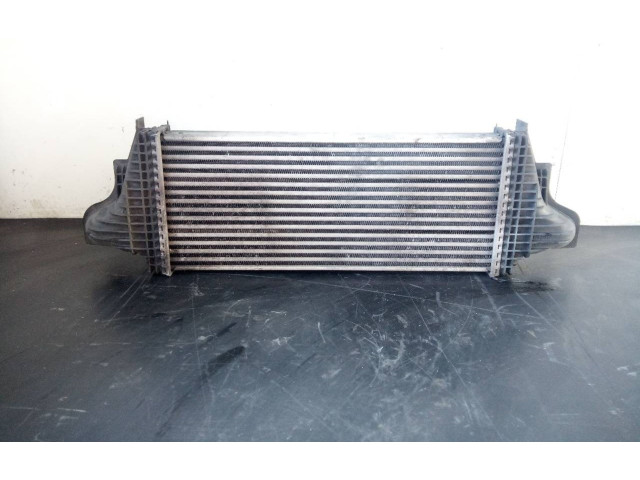 Интеркулер A2515000000004, P2-A11-6 Mercedes-Benz R W251