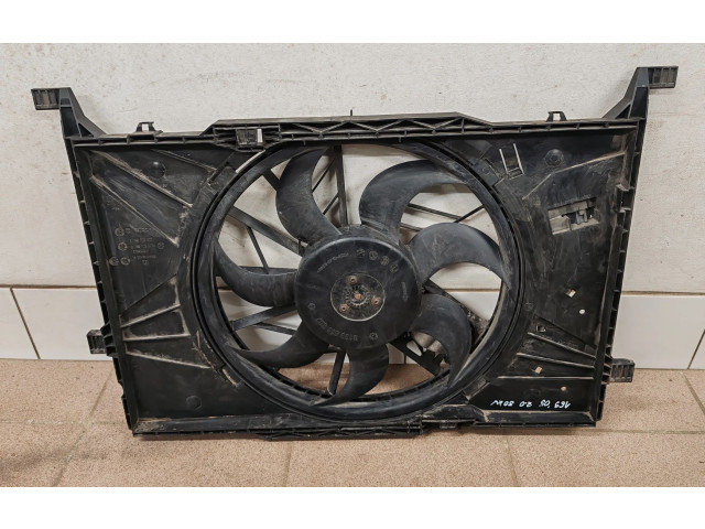 Вентилятор радиатора A1695001193, 0130303944 Mercedes-Benz A W169