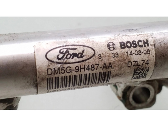 Топливная рампа 0261555137, Dm5g9h487aa   Ford Ecosport 1.0 