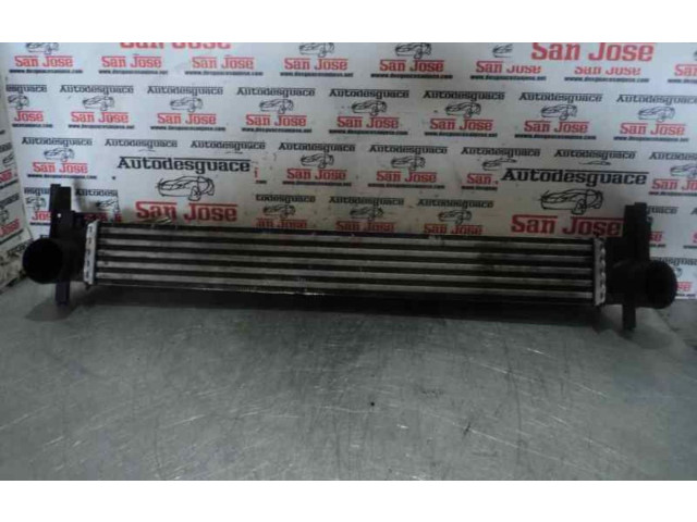 Интеркулер Skoda Rapid (NH)