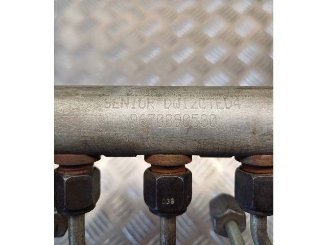 Vstřikovací lišta 9670890580, 9654762880 Citroen C-Crosser