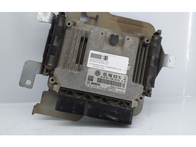 Řídící jednotka 0281018139 Volkswagen Caddy 2011