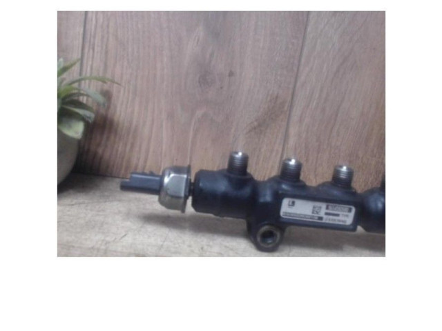 Топливная рампа 00001570G2, 00001570G2   Citroen C3  