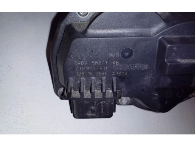 Форсунка G4D35H273AB, 704923080 Jaguar XE