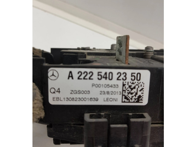 Pojistková skříňka A2225402350, P00105433 Mercede-Benz S W222 2014