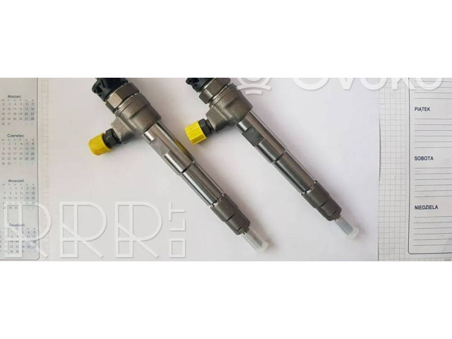 Vstřikovač 0445110800, 166007427R Renault Megane IV