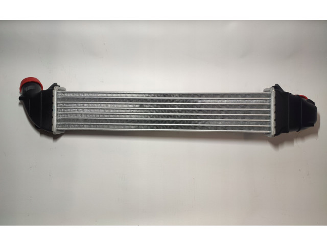 Интеркулер 8200424155, 8200424155 Dacia Logan I