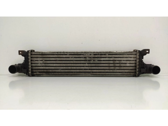 Интеркулер     Citroen Berlingo 1.9