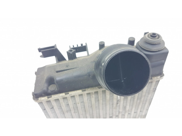 Интеркулер 144614EA1A, MM117D7 Renault Talisman 1.5