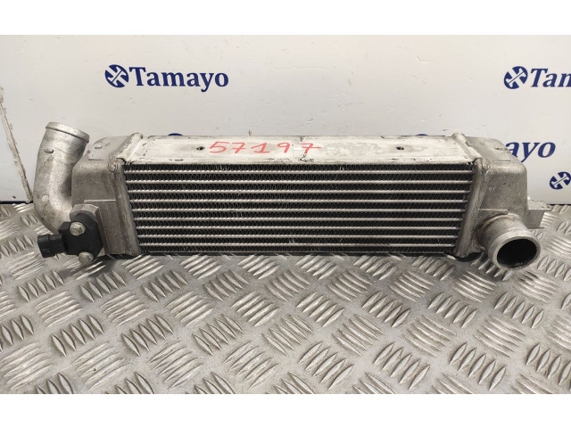 Радиатор интеркулера 279714600102 Tata Indigo I