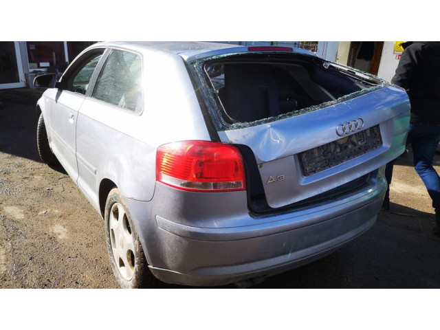 Масляный насос   1134603, 11346-03  Audi A3 S3 8P 1.9