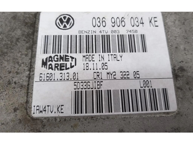 Блок управления двигателя 036906034KE   Skoda Fabia Mk4 (6VA)