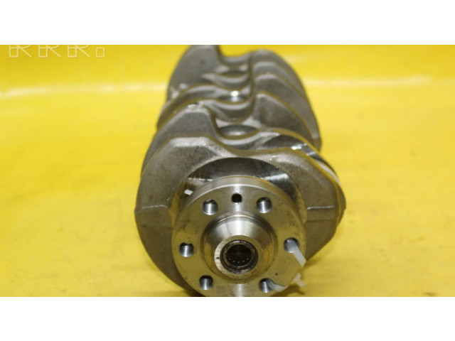 Kliková hřídel 038D Volkswagen PASSAT B6 pro naftový motor 2.0