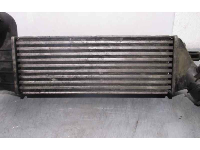 Интеркулер 1489396080, 870229HF Citroen C8