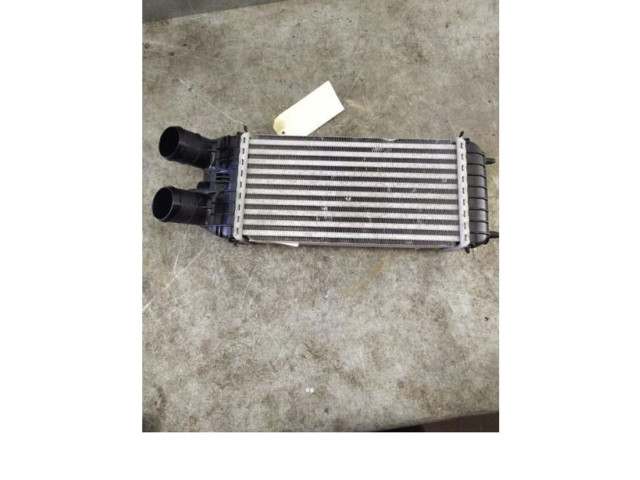 Интеркулер  9803900780   Peugeot 2008 I 