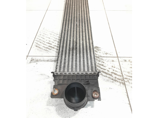 Интеркулер E1G36K775JA Ford S-MAX