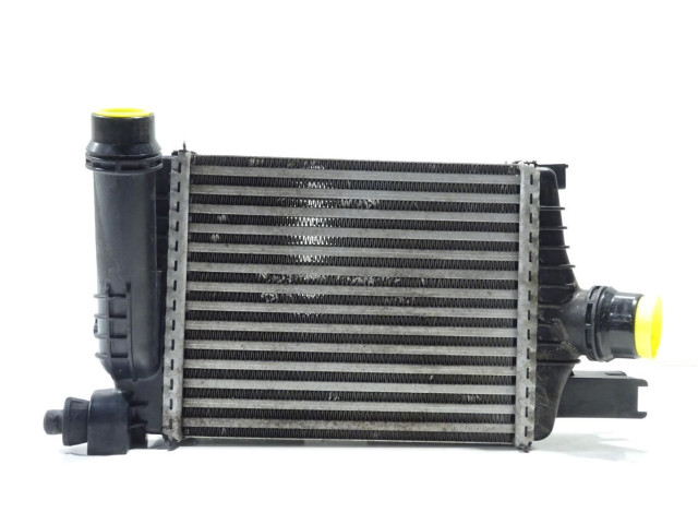 Интеркулер 144961381R Dacia Duster