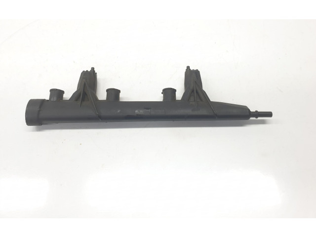 Vstřikovací lišta 9676020480, 9676020480 Citroen C3 HM01